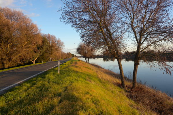 Image representing Periodic Levee Inspections – USACE, Sacramento District