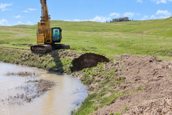 Image representing Scrutchfield Ranch
